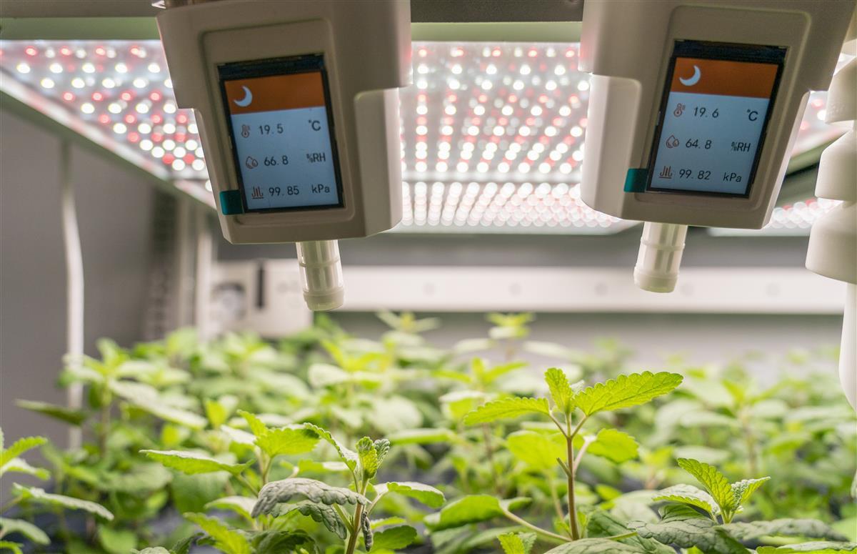 光谷企業創新研發'植物工廠' 以LED燈為'太陽'，驅動基礎軟件服務新生態