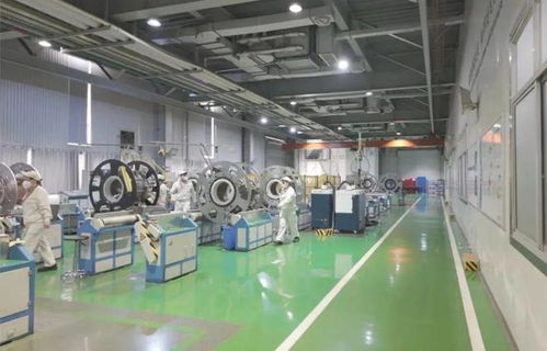 以教育之強譜寫高質量發展新篇 浙大勇擔使命，我與教育強國共成長